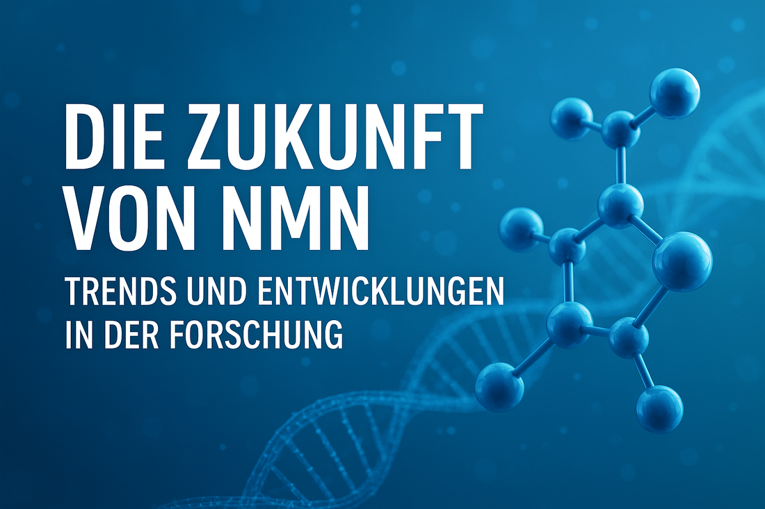 Die Zukunft von NMN – Trends und Entwicklungen in der Forschung