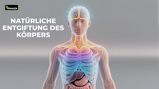 Wie NMN den natürlichen Entgiftungsprozess des Körpers unterstützt
