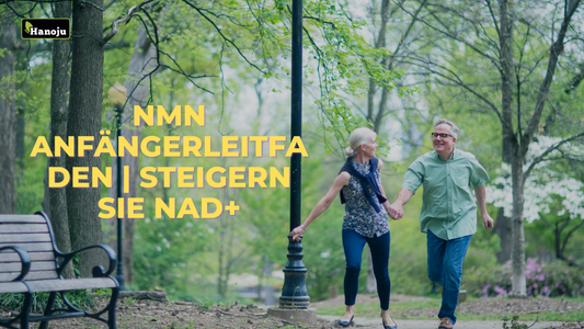 NMN Anfängerleitfaden: Steigern Sie NAD+ und unterstützen Sie die Entgiftung