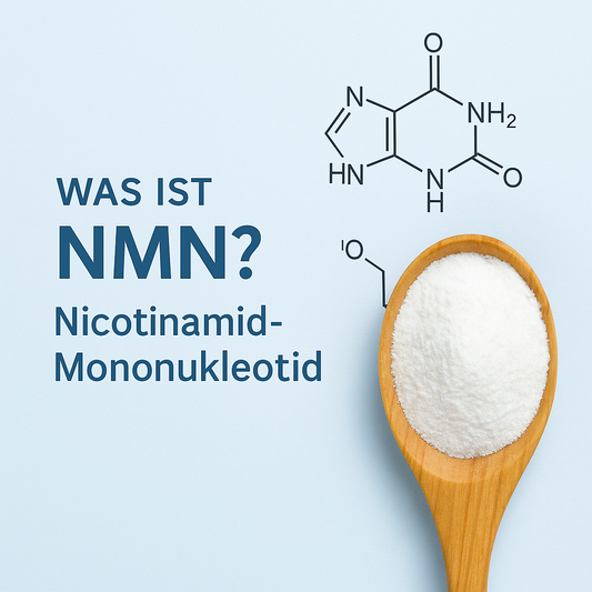 Was ist NMN? – Einsteigerleitfaden zu Nicotinamid-Mononukleotid